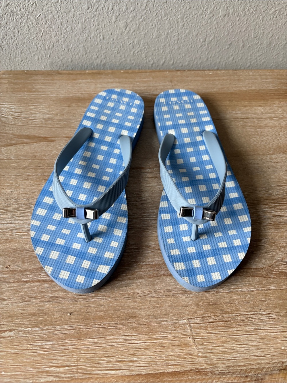 COACH Blue Gingham